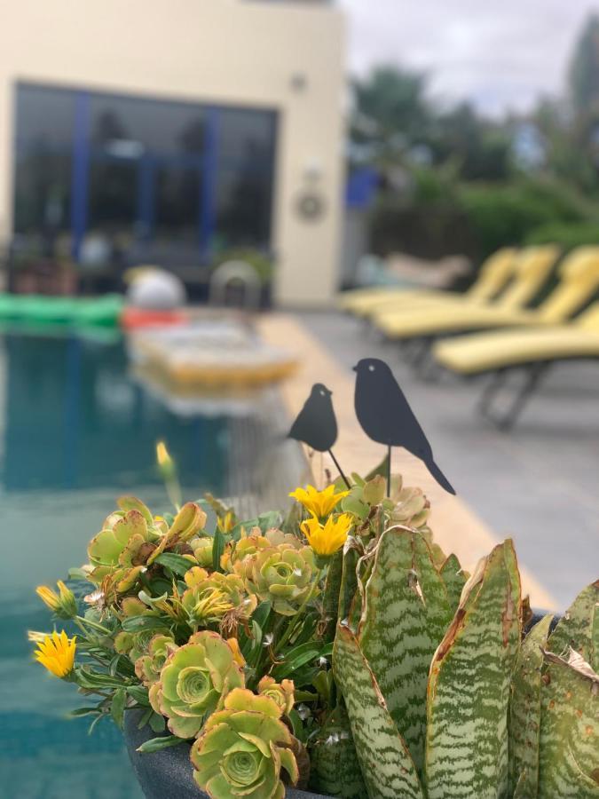 Auberge Oualidia Dream 외부 사진