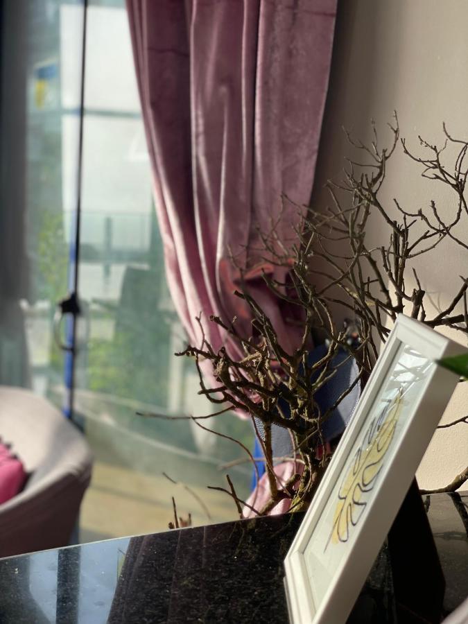 Auberge Oualidia Dream 외부 사진